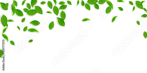 Falling green leaves. Fresh tea chaotic leaves flying. Spring foliage dancing on yellow green background. Amazing summer overlay template. Shapely spring sale vector illustration.