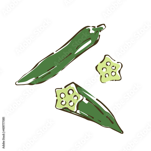 オクラ　野菜の手描きスケッチイラスト