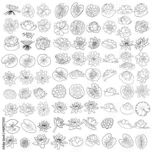 Set of lotuses  line art stylized. Collection of lotus flowers blooms. Black white  hand drawn isolated water pond lily floral. Body and mind designs elements. Vector.