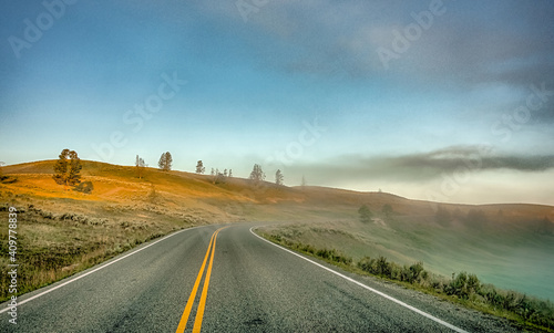 Hayden Valley  Yellowstone National Park