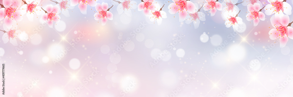 桜　春　花　背景
