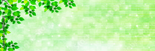 新緑　葉　風景　背景

