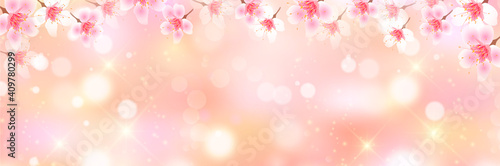 桜　春　花　背景
