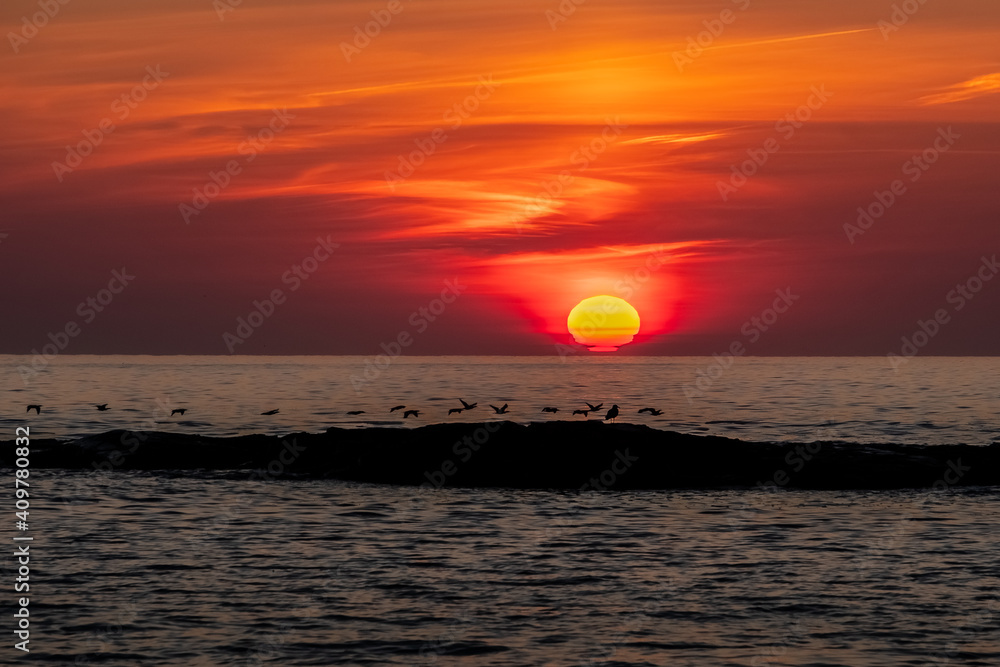 A beautiful sunrise with sea birds at the seashore. (Ogunquit, ME, USA)