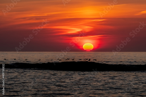 A beautiful sunrise with sea birds at the seashore.  Ogunquit  ME  USA 