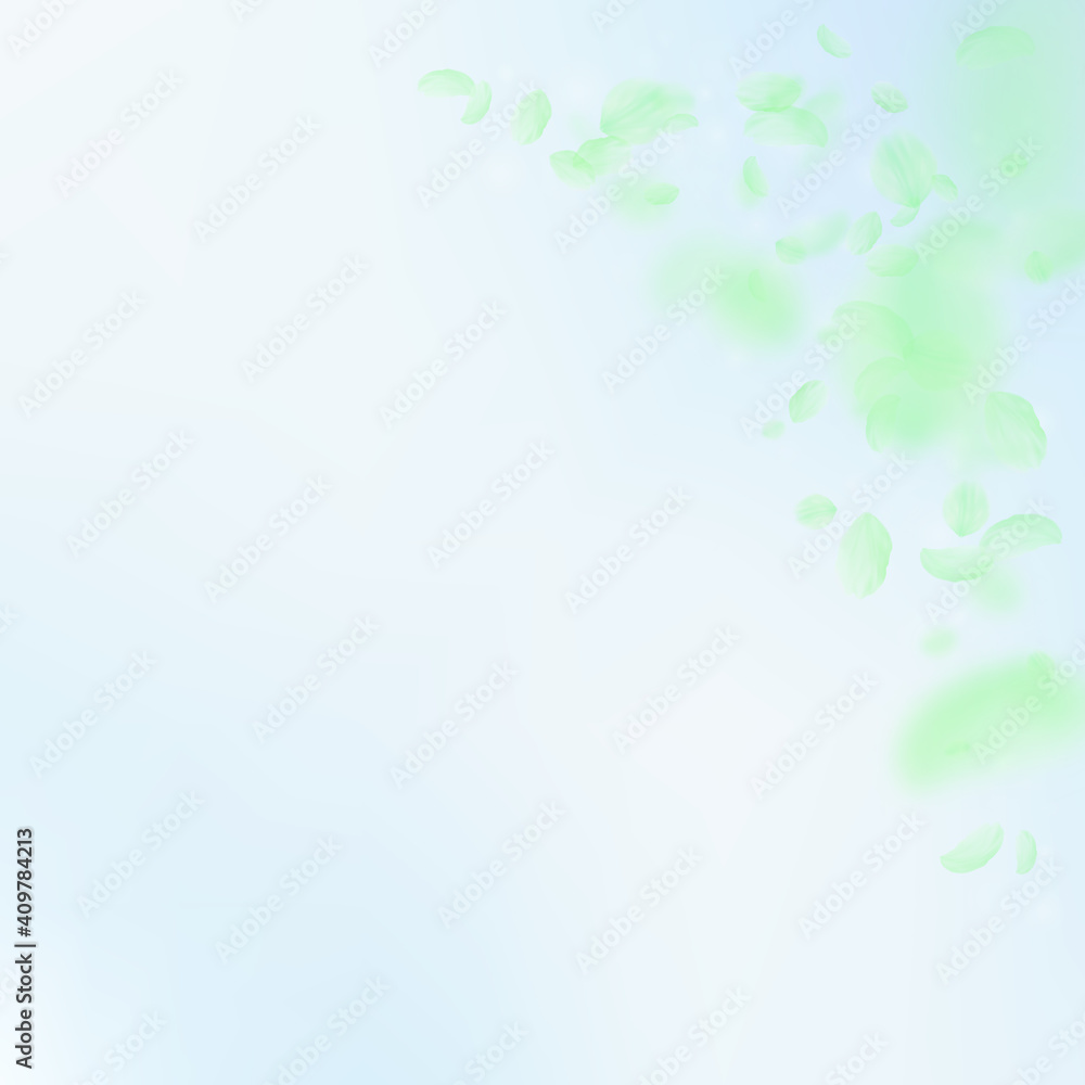 Green flower petals falling down. Cool romantic fl Green flower petals falling down. Cool romantic fl