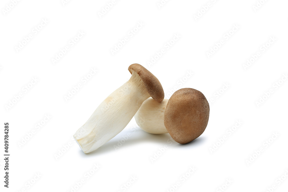 Orinji Mushrooms on white isolated background with clipping path. Orinji Mushrooms on white isolated background with clipping path.