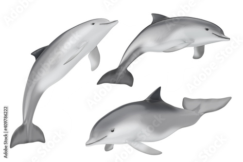 Tursiops Truncatus Ocean or Sea Bottlenose Dolphin. 3d Rendering