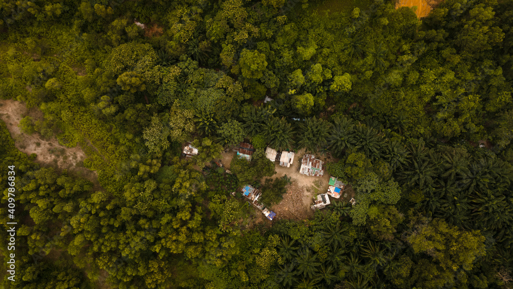 Obraz premium aerial view house in the middle of forest.