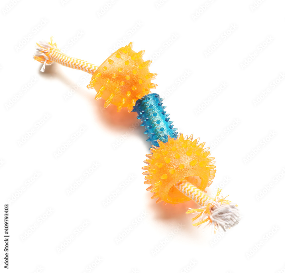 Naklejka premium Toy for pets on white background
