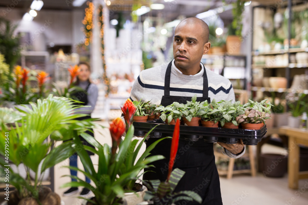 Portrait of male florist selling potted flowers in his shop