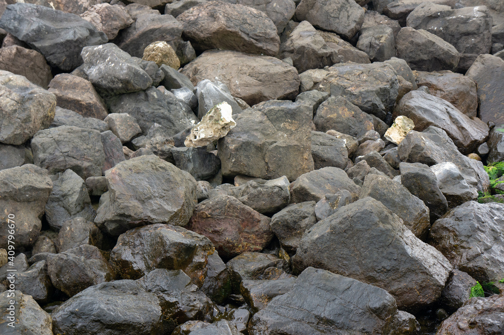 Coastal stones. Color photo