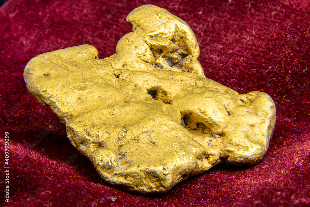 A natural, real, authentic gold nugget taken on red, burgundy background felt. Unique jewellery from nature. A natural, real, authentic gold nugget taken on red, burgundy background felt. Unique jewellery from nature.
