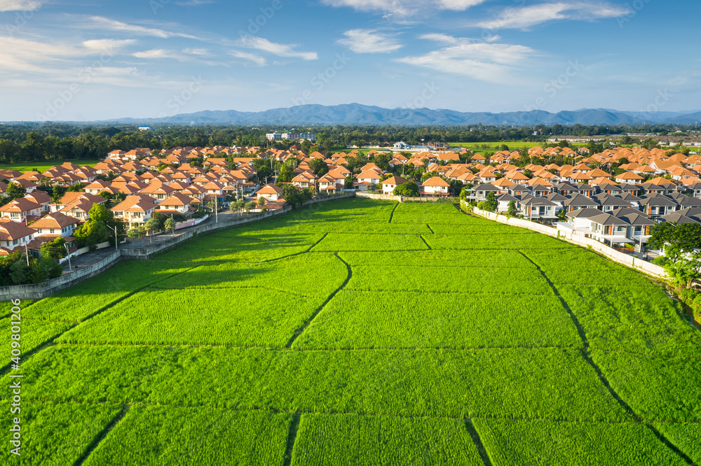 Land or landscape of green field in aerial view. Include agriculture