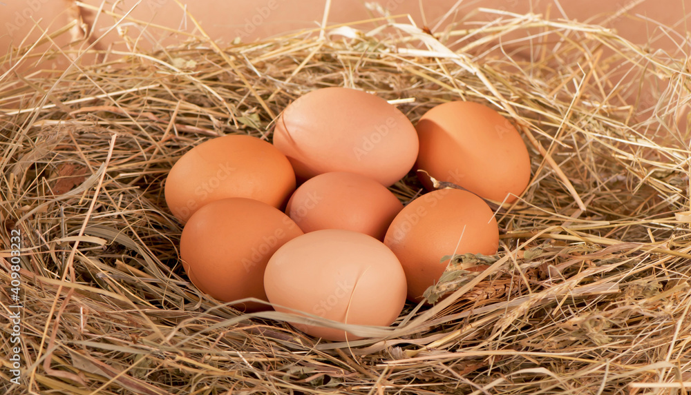 pile of brown chicken eggs in a nest pile of brown chicken eggs in a nest