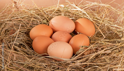 pile of brown chicken eggs in a nest