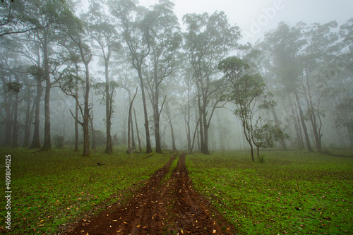 Mountain Mutis, Nusa Tenggara Timur at Indonesia photo