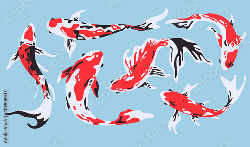 Isolated Japanese koi fish collection . Set of various exotic asian creatures. Abstract swimming animals, culture symbol, cartoon clipart.