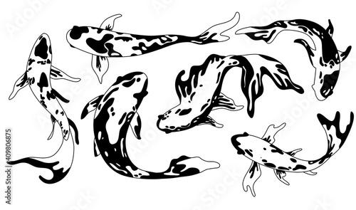 Isolated outline transparent koi fish collection. Set of various asian exotic fishes. Japan culture symbol, tattoo art, cartoon clipart.