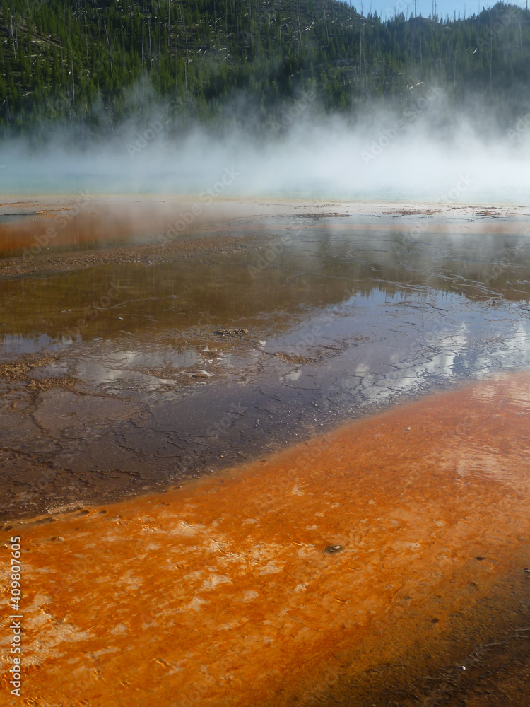 Closeup of the bacterial mats at the Grand Prismatic Spring in Yellowstone National Park Closeup of the bacterial mats at the Grand Prismatic Spring in Yellowstone National Park