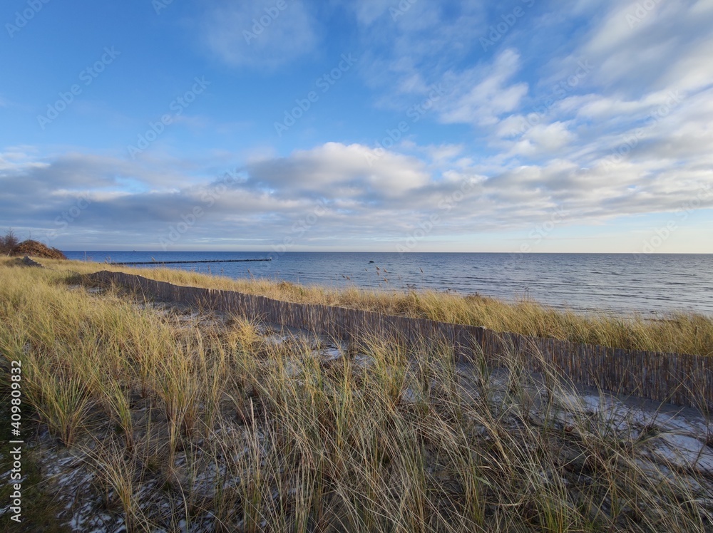 Strandhafer im Winter