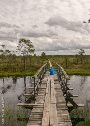 Fototapeta Naklejka Na Ścianę i Meble -  the summer swamp. woman in a blue jacket on a wooden bridge. bog pond. bog background and vegetation. white clouds. small swamp pines