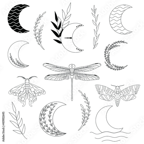 Vector set of different moon illustrations, dragonfly, death head moth, lunar moth and plants. Line art collection isolated on white background
