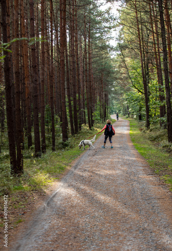 A forest road among the fragrances of pines on the Vistula Spit between Jantar and Stegna. Poland © wjarek