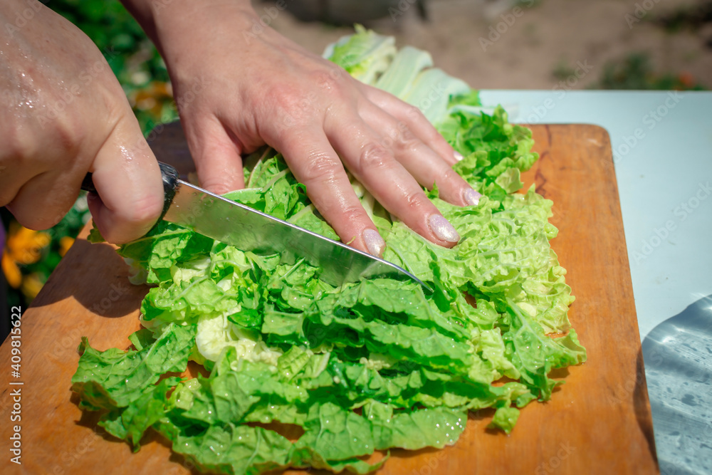 A woman chops the juicy green leaves of fresh napa cabbage or Peking cabbage with a knife. Cooking healthy food outdoors. A woman chops the juicy green leaves of fresh napa cabbage or Peking cabbage with a knife. Cooking healthy food outdoors.