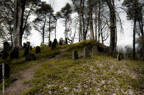 Friedhof mit alten Grabsteinen in der Natur zu gewachsen alt photo