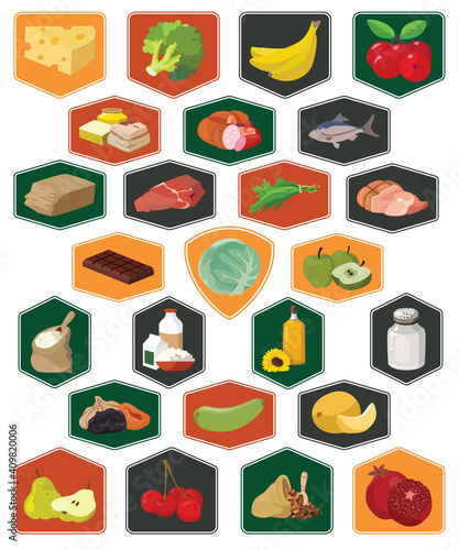 Fruits, vegetables, fats, meat, cereals, dairy products