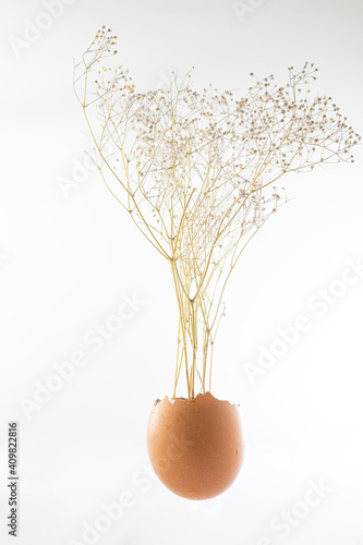 Tall, dried flowers in an egg shell