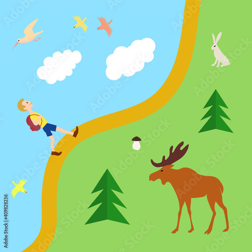 Boy walks through Forest. Elk  hare and birds. Vector color image.