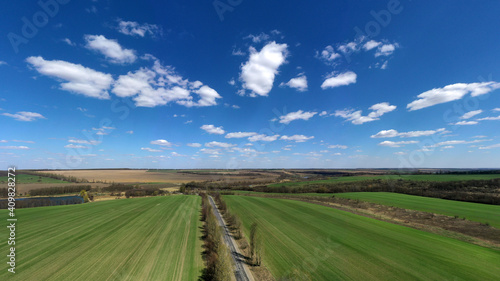 field of grass and perfect sky