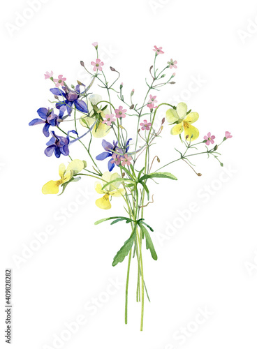 Watercolor bouquet of violets and wild small flowers on white background 