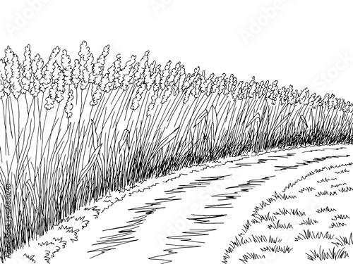 Field road graphic black white landscape sketch illustration vector 