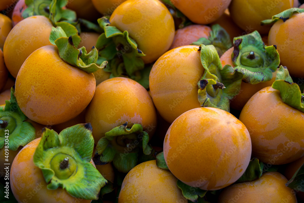 Persimmon Persimmon