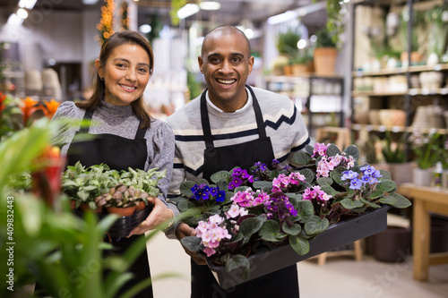 Portrait of flower shop employees with pots of flowers in their hands © JackF