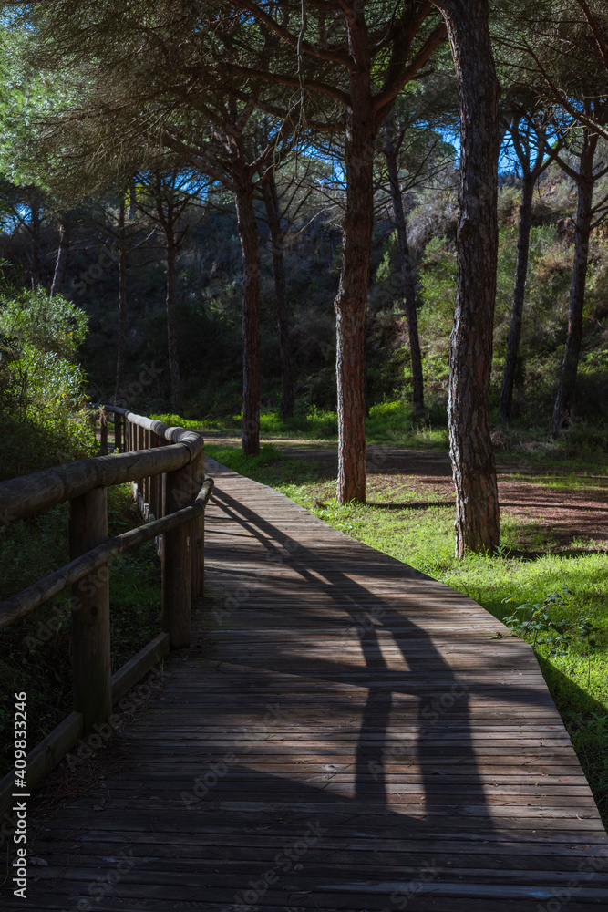 lonely wooden road in the field