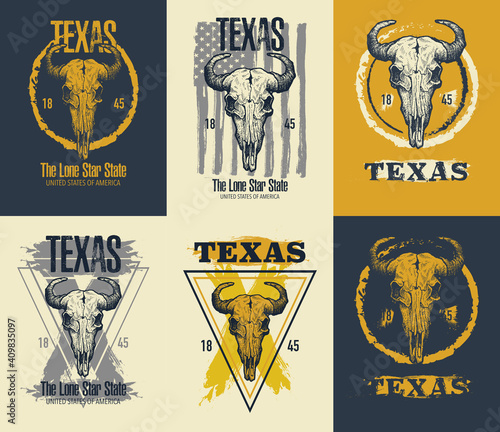 Texas buffalo tee print graphic. Vector illustration. Vector set.
