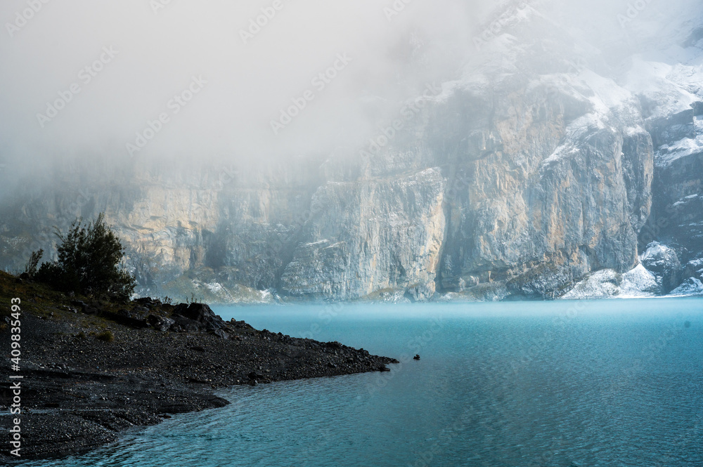 winter forest with snow fall in the Bernese Alps