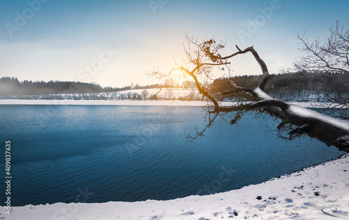 Winter landscape with bare tree trunk at lake Butgenbach, Ardennes, Belgium. photo