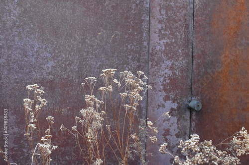 The entrance to the old garage is overgrown with grass