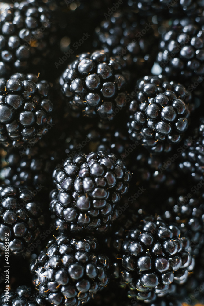 Background from fresh Blackberries, close up. Lot of ripe juicy wild fruit berries lying on the table Background from fresh Blackberries, close up. Lot of ripe juicy wild fruit berries lying on the table