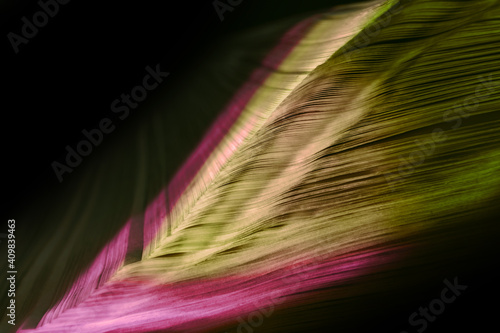 Close up Beautiful book pages in the multi color light on a night. Background pattern for design. Macro photography view. photo