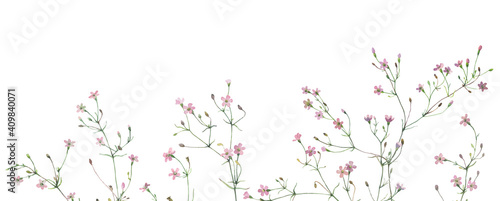 Watercolor horizontal line of pink wild small flowers