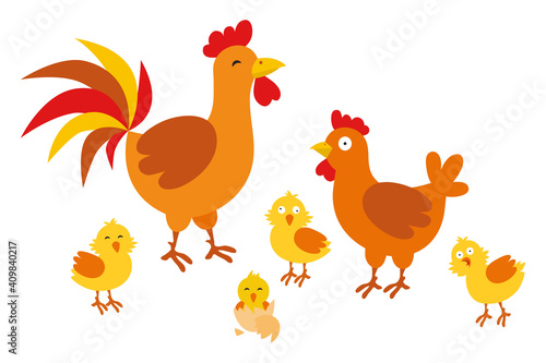 Adult hen and rooster with chickens on a white background. Cute chicken family with their chickens in cartoon style