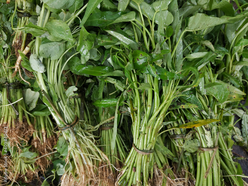 Obraz premium Pile of fresh water morning glory or water spinach or kangkung sell at traditional market