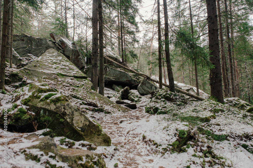 Landscape in the forest in the mountains. Rocks and tree trunks covered in moss Landscape in the forest in the mountains. Rocks and tree trunks covered in moss