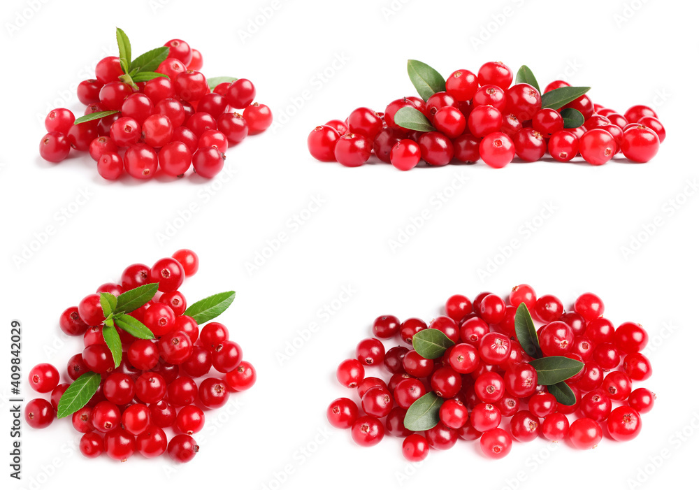 Set of fresh ripe cranberries on white background Set of fresh ripe cranberries on white background